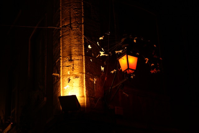 Lyon Fête 8